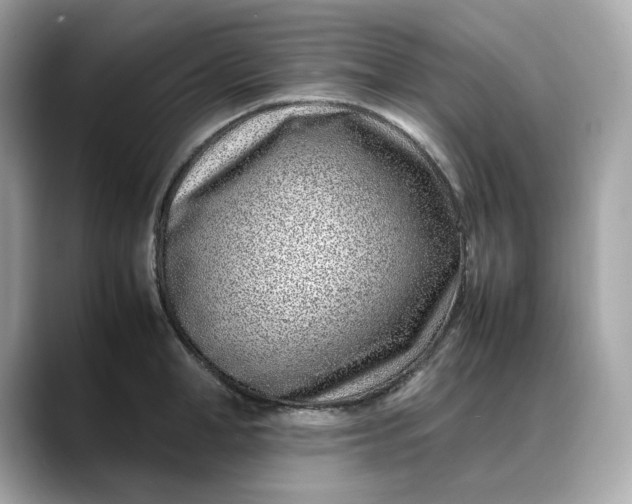 X0000088360998200706051020