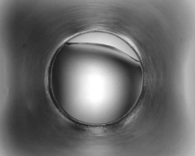 X0000088360999200706051020