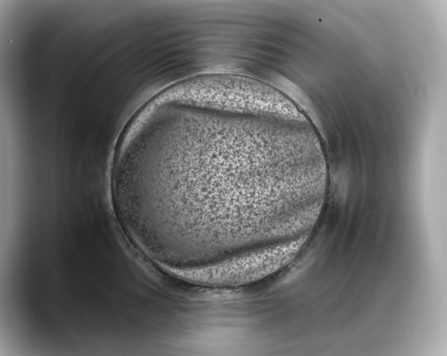 X0000088361002200706051020