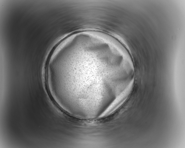 X0000088361003200706051020