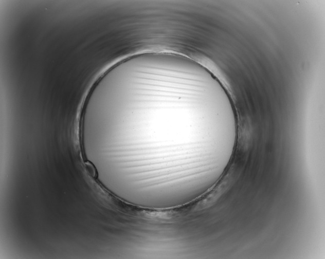 X0000088361004200706051020