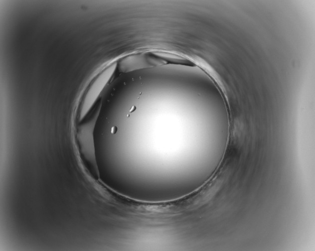 X0000088361005200706051020