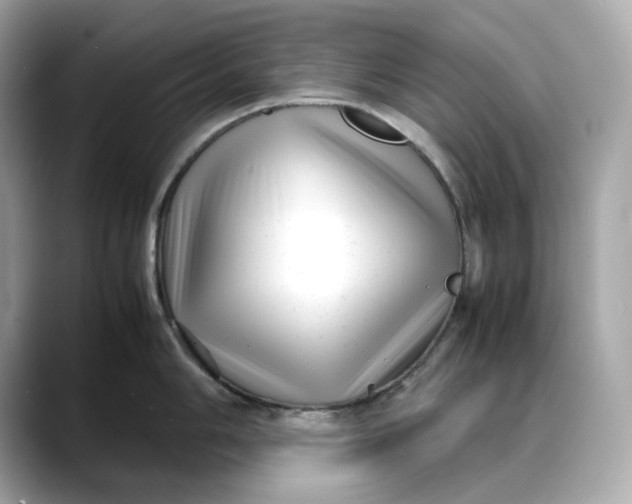 X0000088361006200706051020