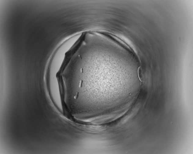 X0000088361007200706051020