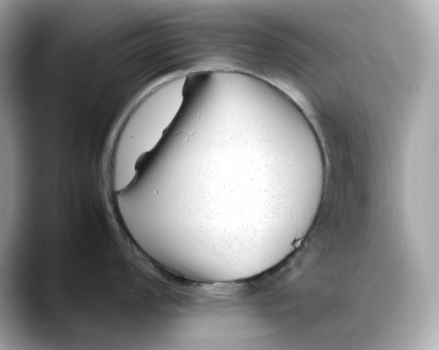 X0000088361008200706051020