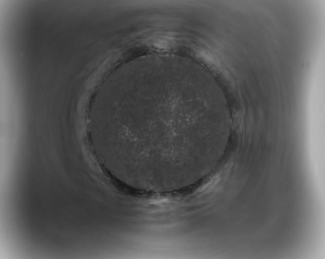 X0000088361009200706051019