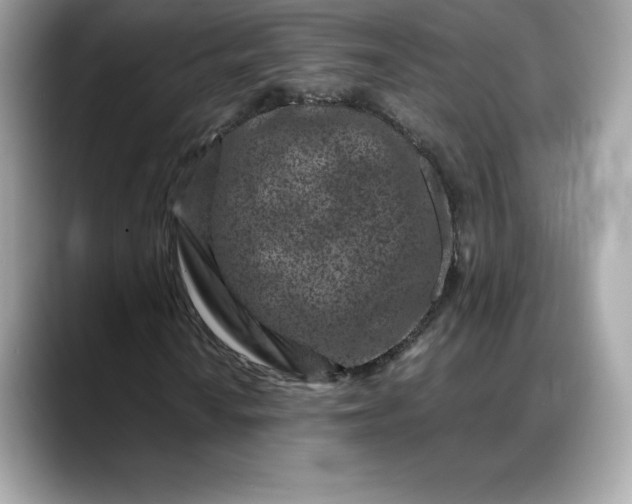 X0000088361010200706051019