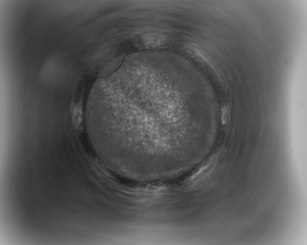 X0000088361011200706051019