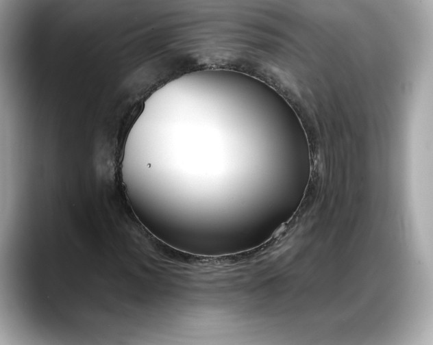 X0000088361012200706051019