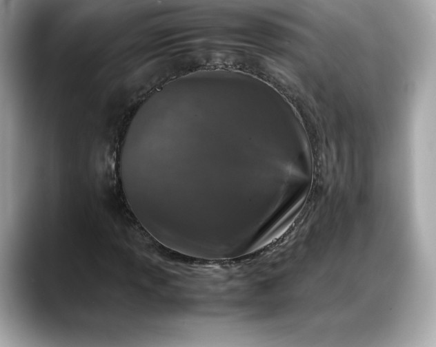 X0000088361013200706051019