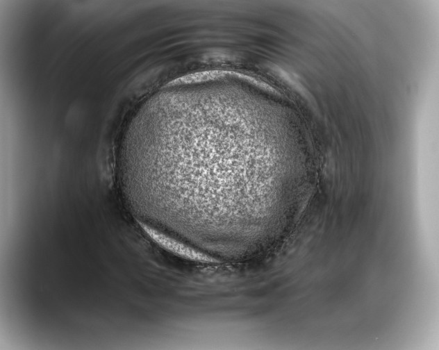 X0000088361015200706051019