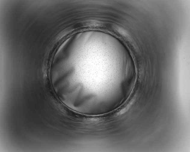 X0000088361017200706051019