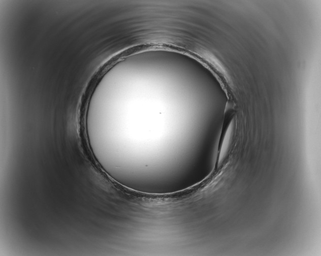 X0000088361020200706051019