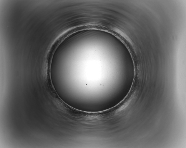 X0000088361021200706051019