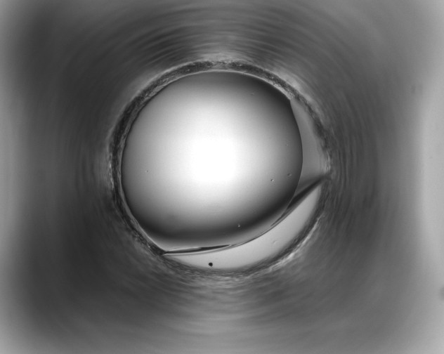 X0000088361022200706051019