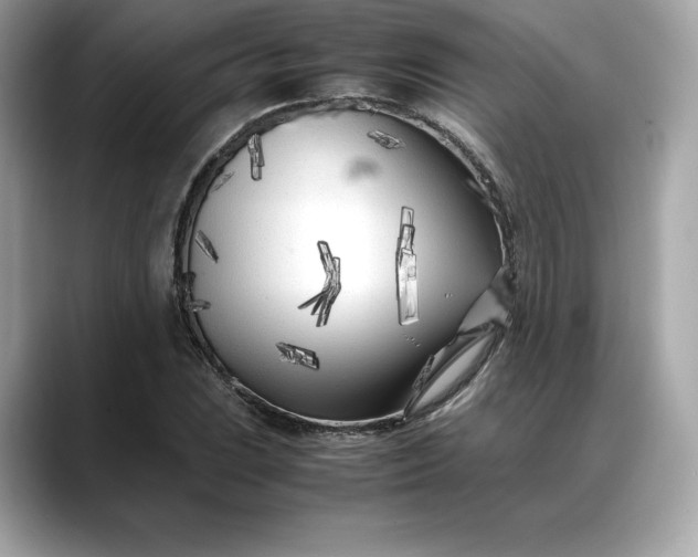 X0000088361023200706051019