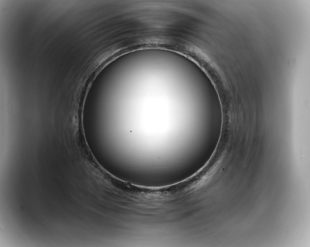 X0000088361025200706051019