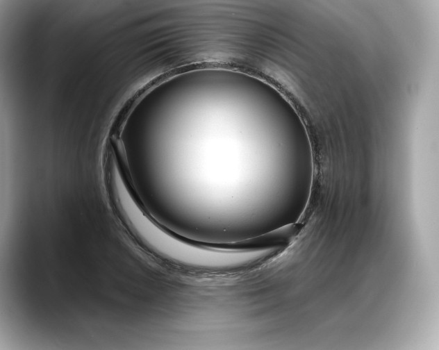 X0000088361026200706051019