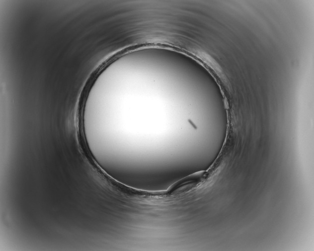 X0000088361028200706051019