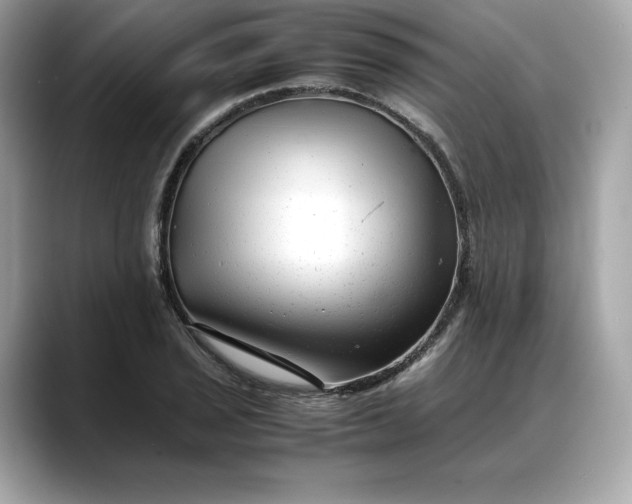 X0000088361029200706051019