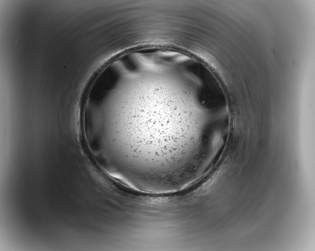 X0000088361030200706051019