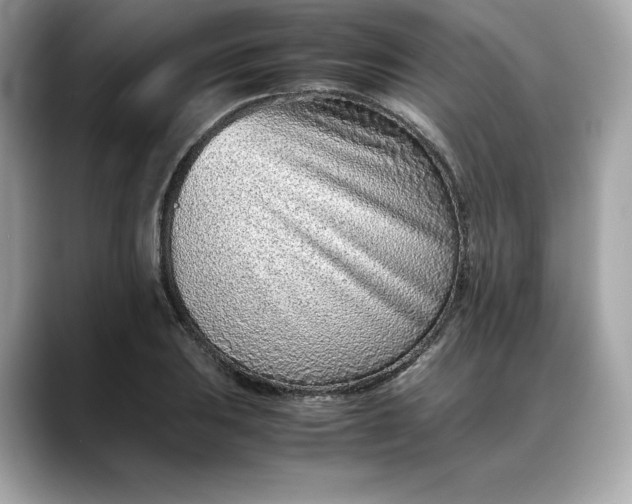 X0000088361031200706051019