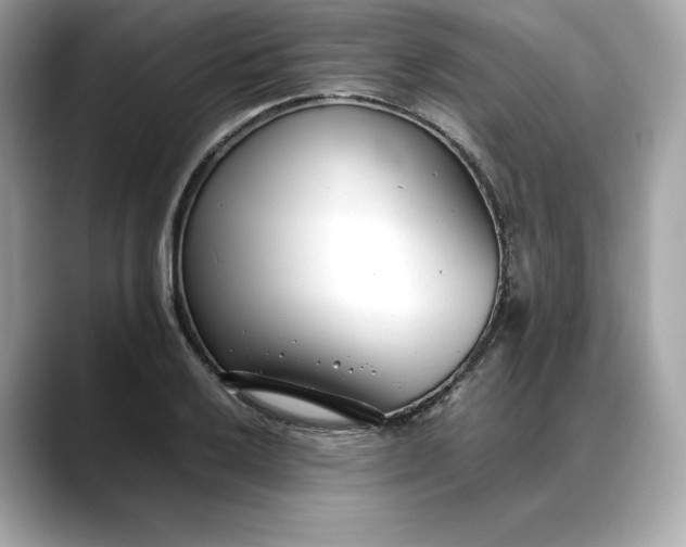 X0000088361032200706051019