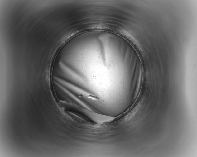 X0000088361033200706051019