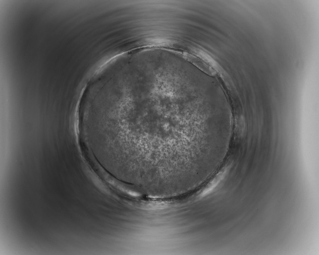 X0000088361034200706051019