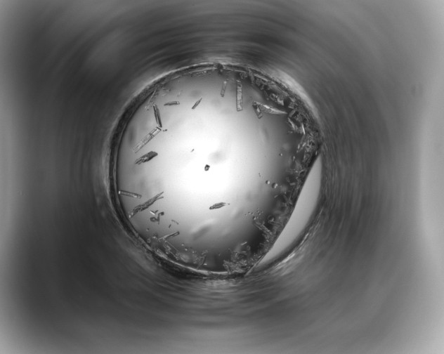 X0000088361035200706051019