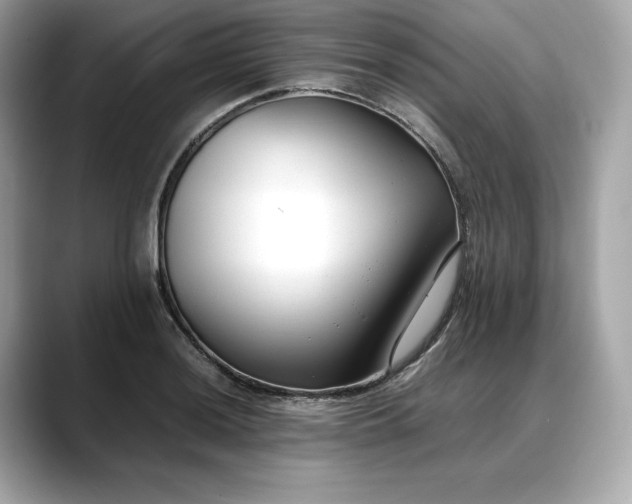 X0000088361036200706051019