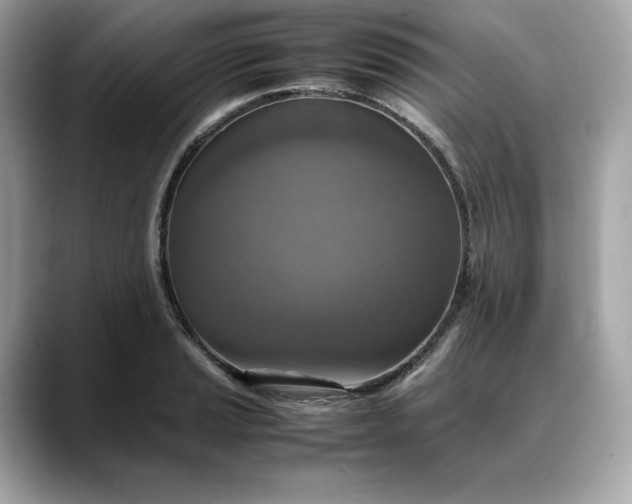 X0000088361037200706051020