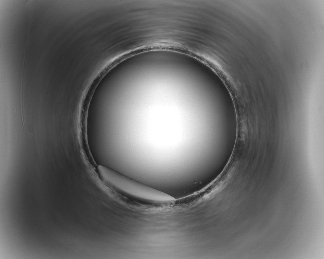 X0000088361038200706051020