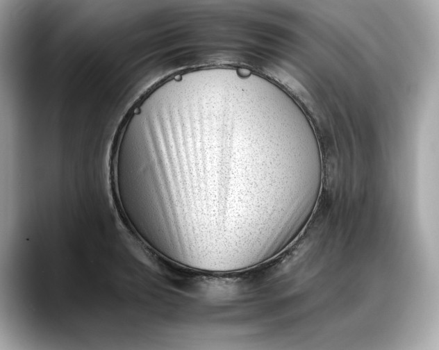 X0000088361039200706051020