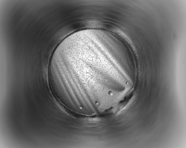 X0000088361041200706051020