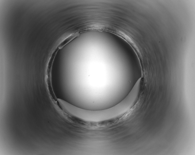 X0000088361042200706051020