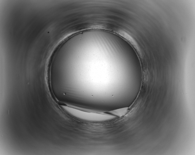 X0000088361043200706051020