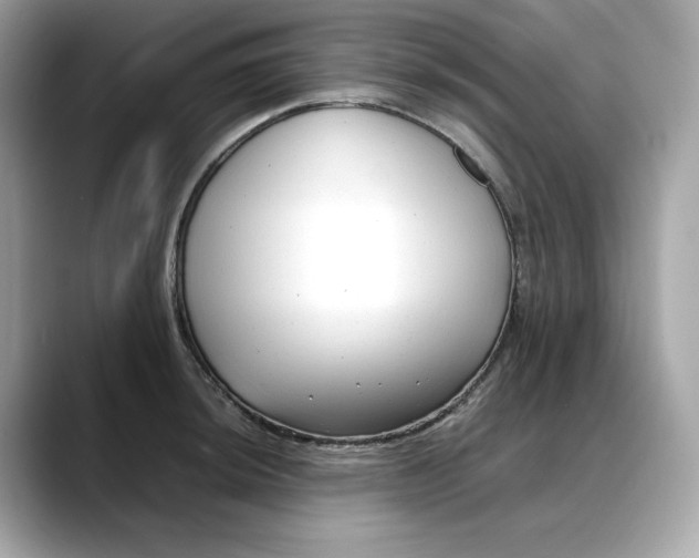 X0000088361044200706051020