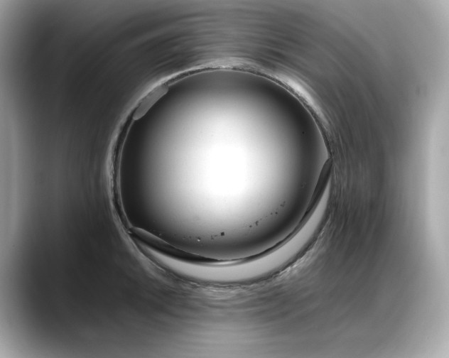 X0000088361046200706051020