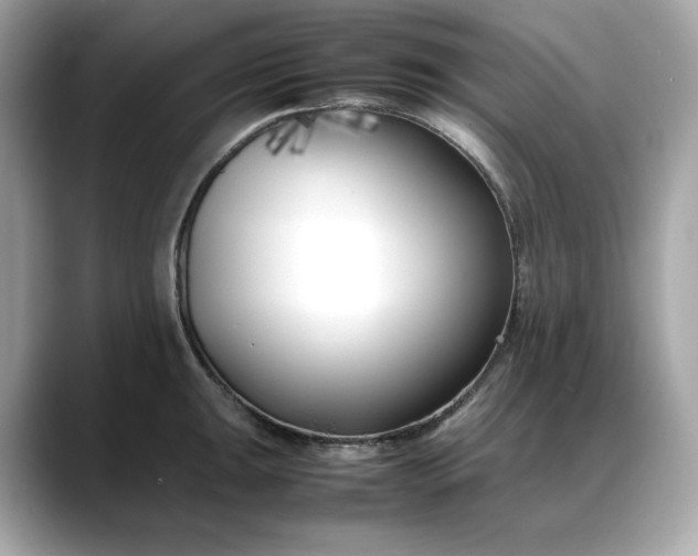 X0000088361047200706051020