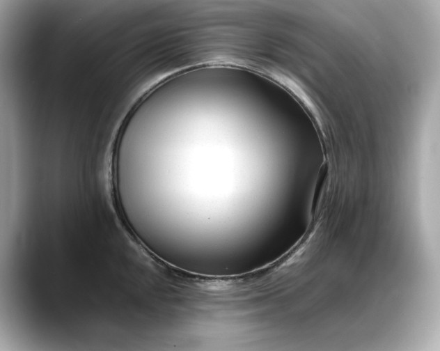 X0000088361048200706051020