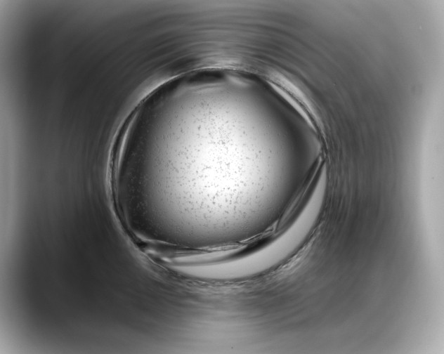 X0000088361050200706051020