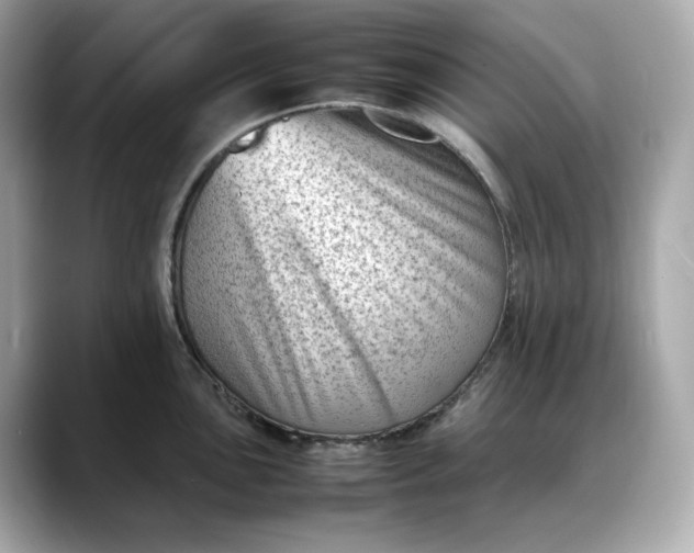 X0000088361051200706051020