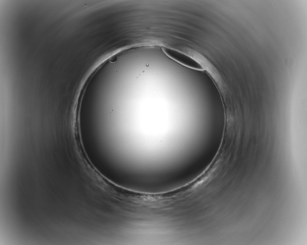 X0000088361052200706051020