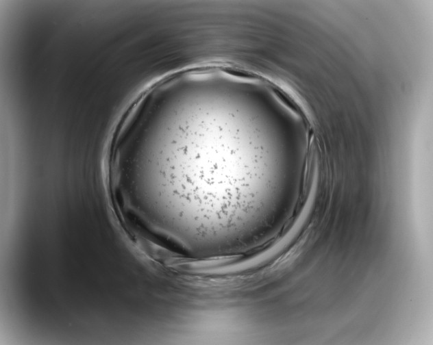 X0000088361054200706051020