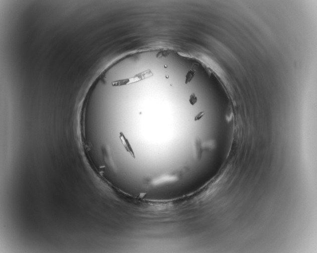 X0000088361055200706051020