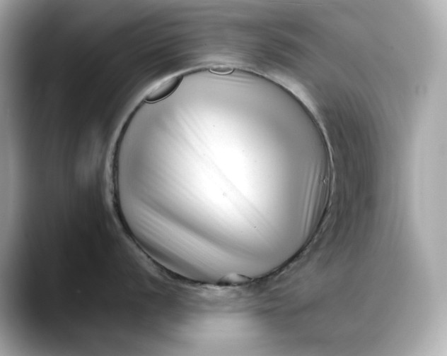 X0000088361056200706051020