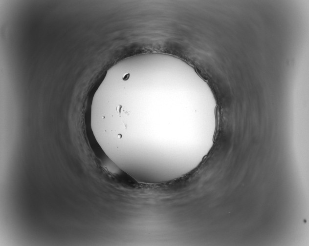 X0000088361057200706051019