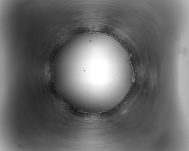 X0000088361058200706051019