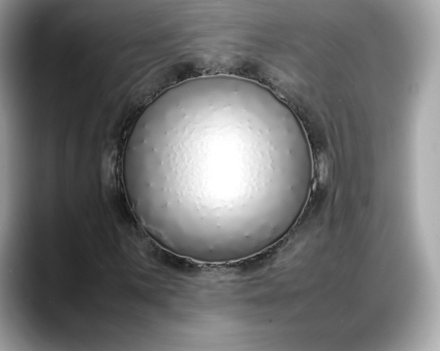 X0000088361059200706051019